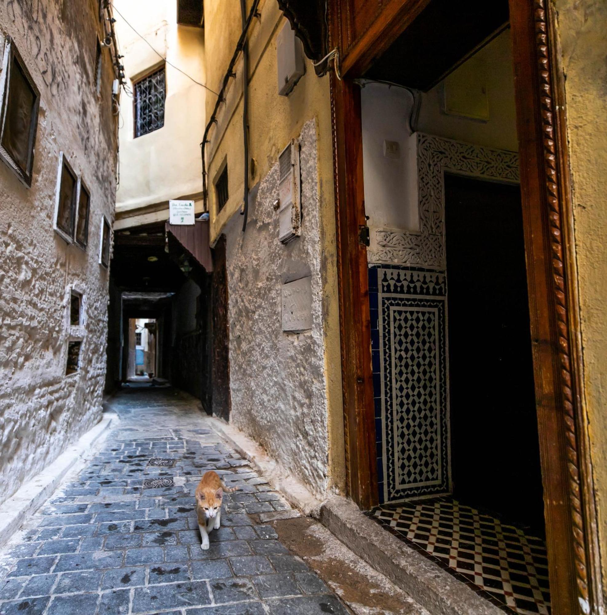 Riad Dar Omar Fès Eksteriør bilde